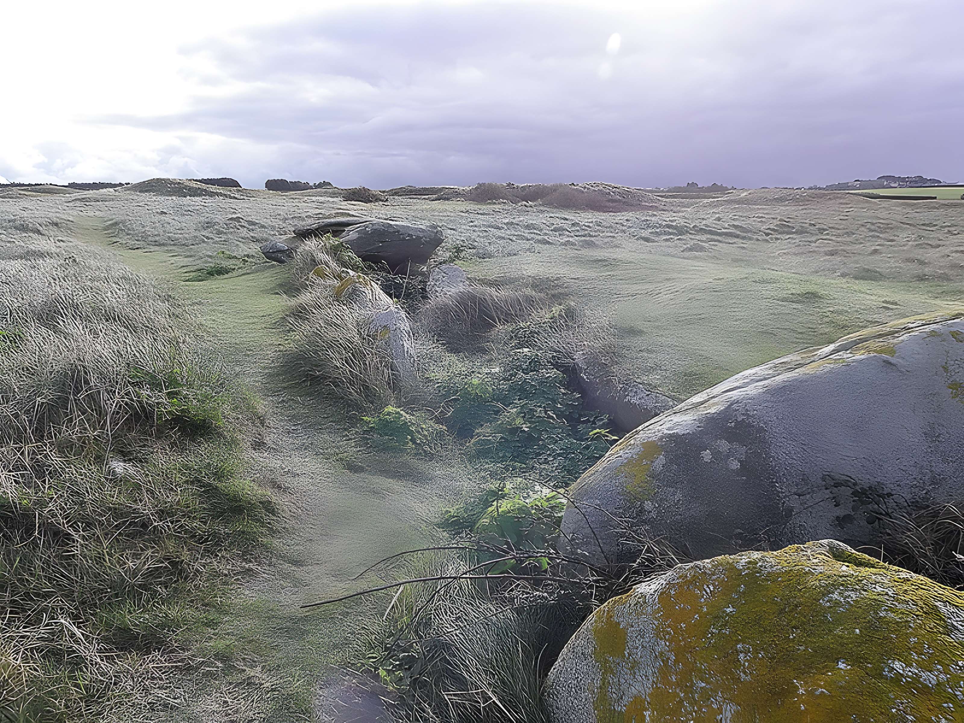 Allée couverte de Pont-ar-Bleiz à Lampaul-Ploudalmézeau