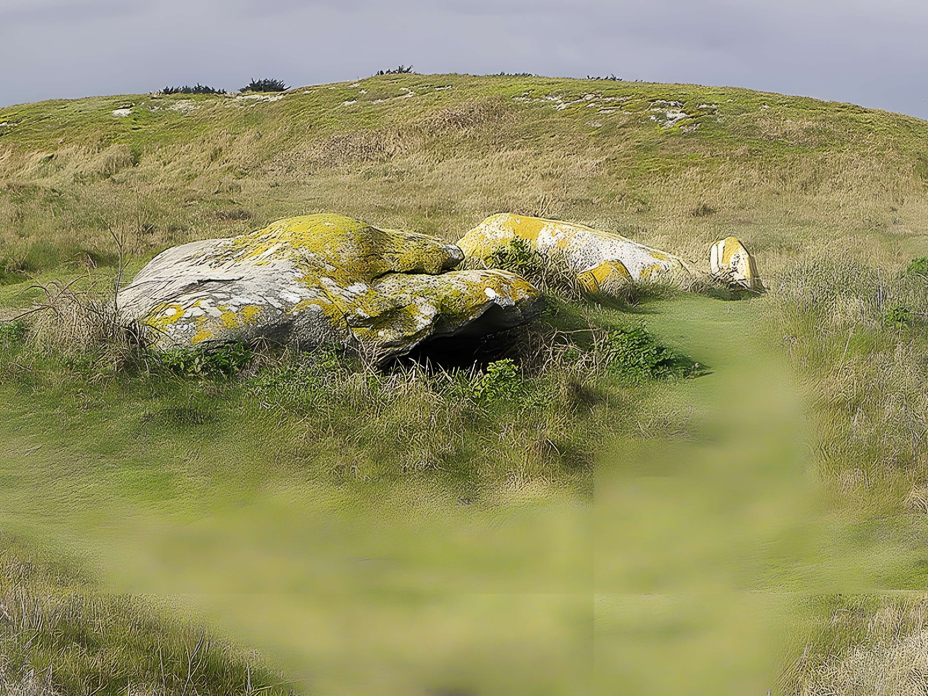 Allée couverte de Pont-ar-Bleiz à Lampaul-Ploudalmézeau