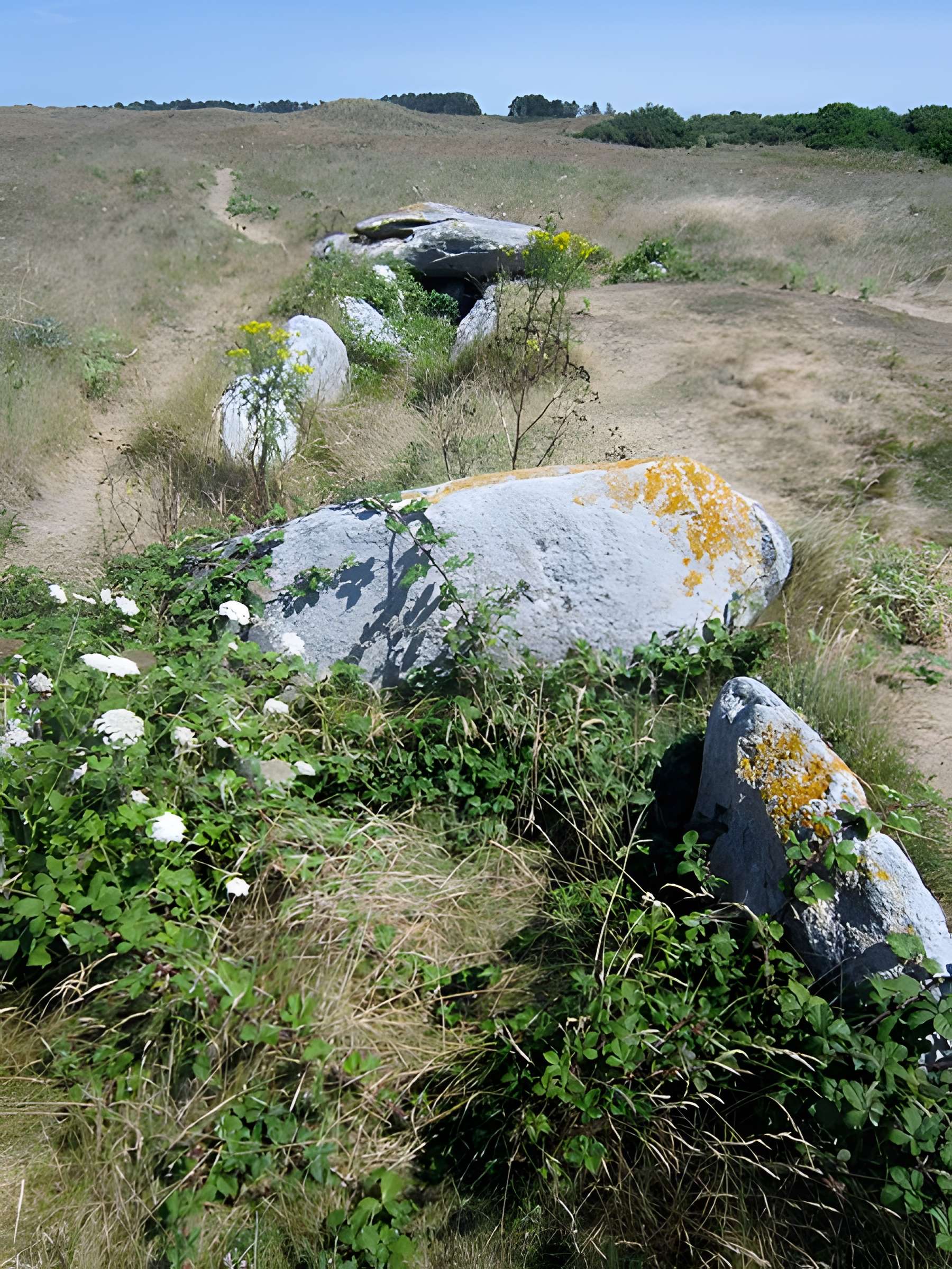 Allée couverte de Pont-ar-Bleiz à Lampaul-Ploudalmézeau