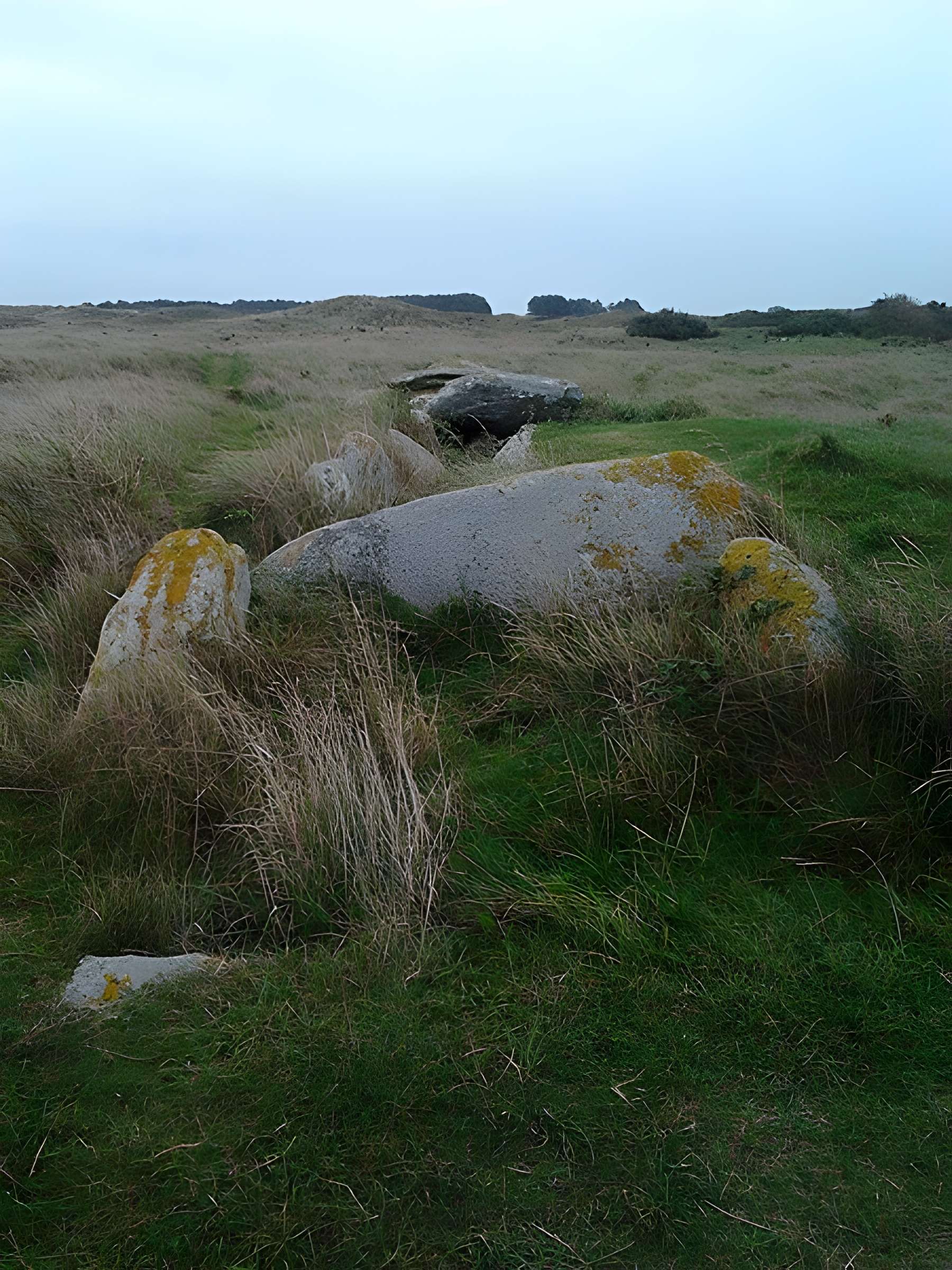 Allée couverte de Pont-ar-Bleiz à Lampaul-Ploudalmézeau