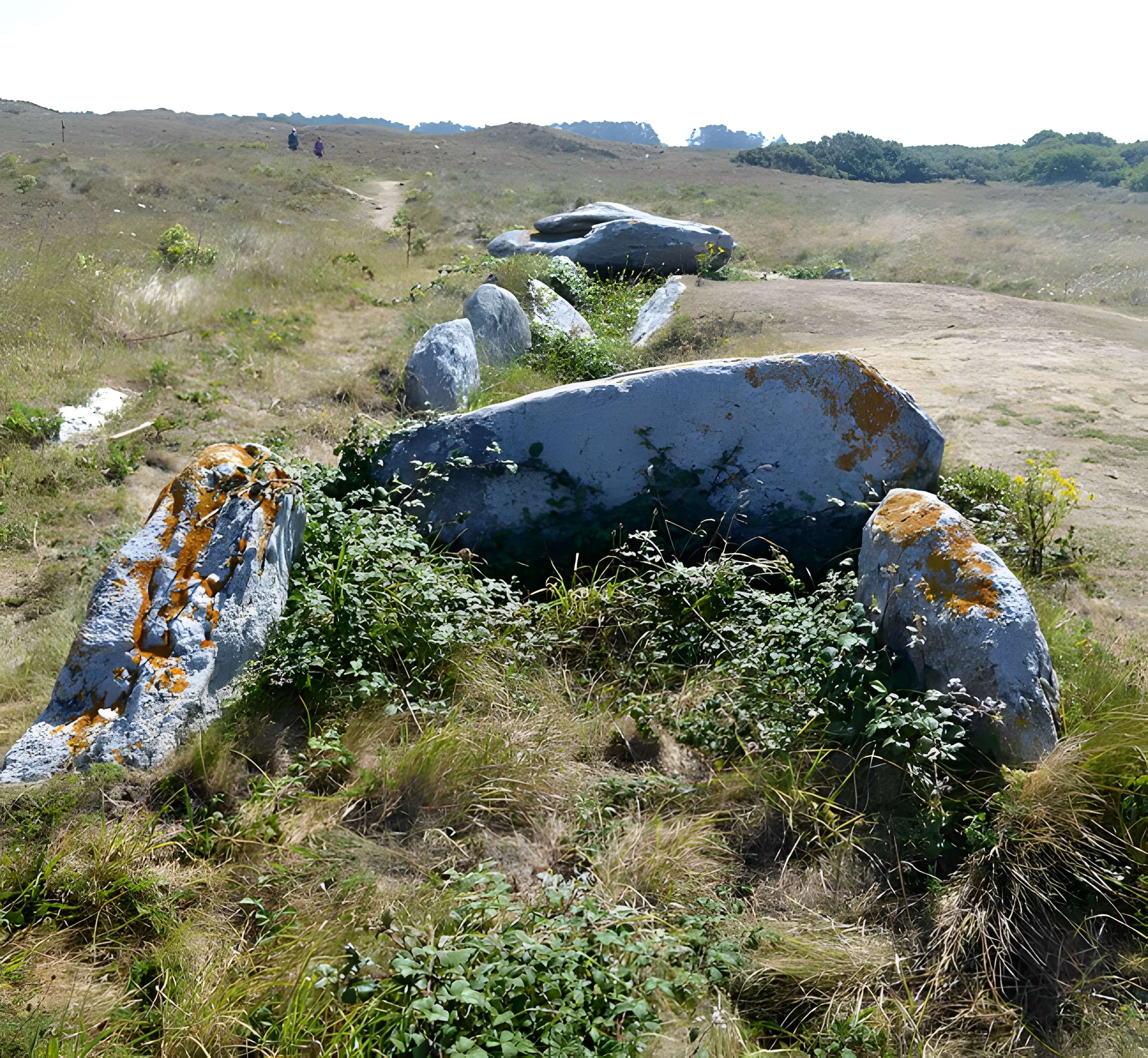 Allée couverte de Pont-ar-Bleiz à Lampaul-Ploudalmézeau