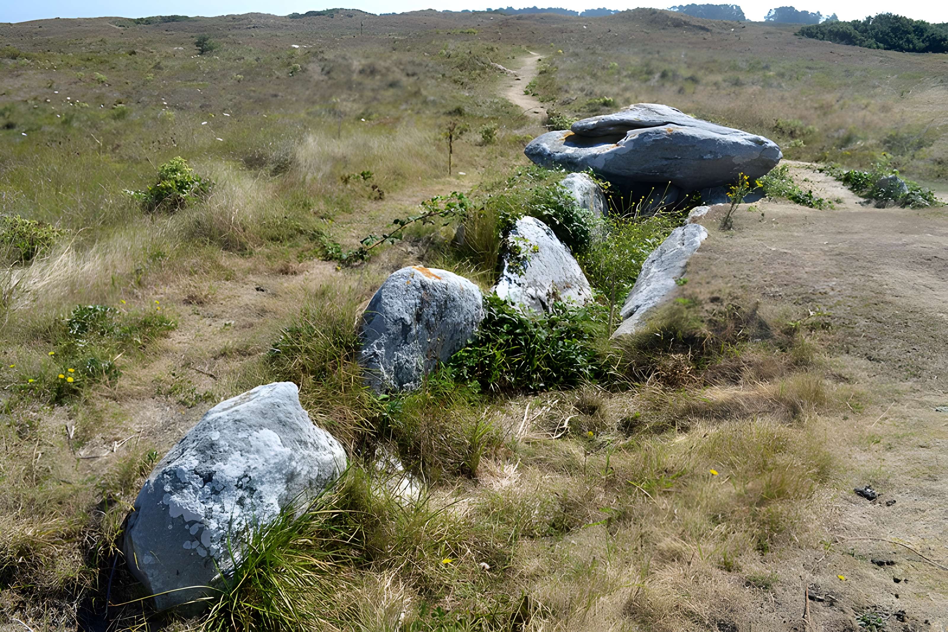 Allée couverte de Pont-ar-Bleiz à Lampaul-Ploudalmézeau