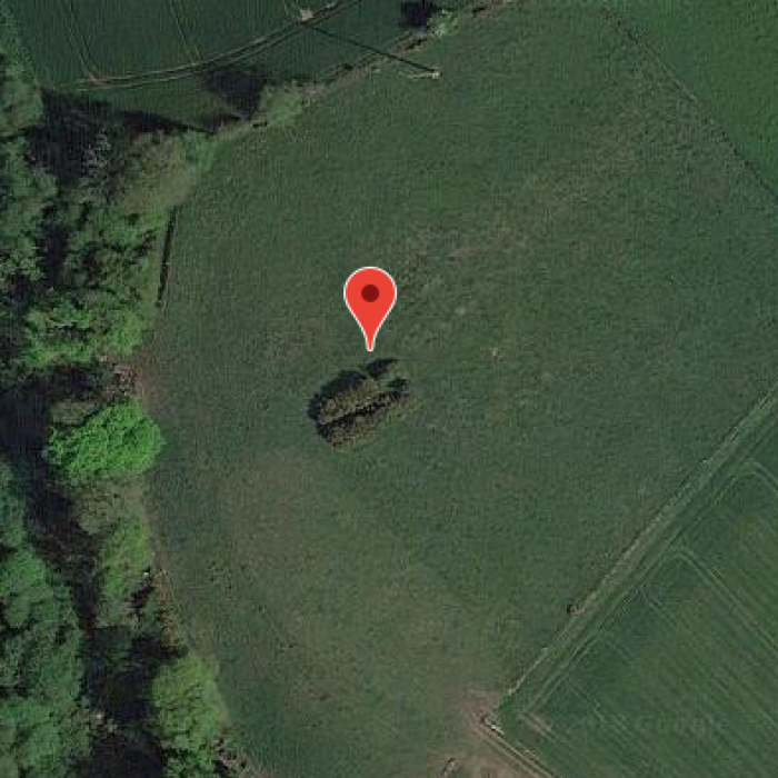 Photo de Allée couverte de Saint-Nizon à Malguénac