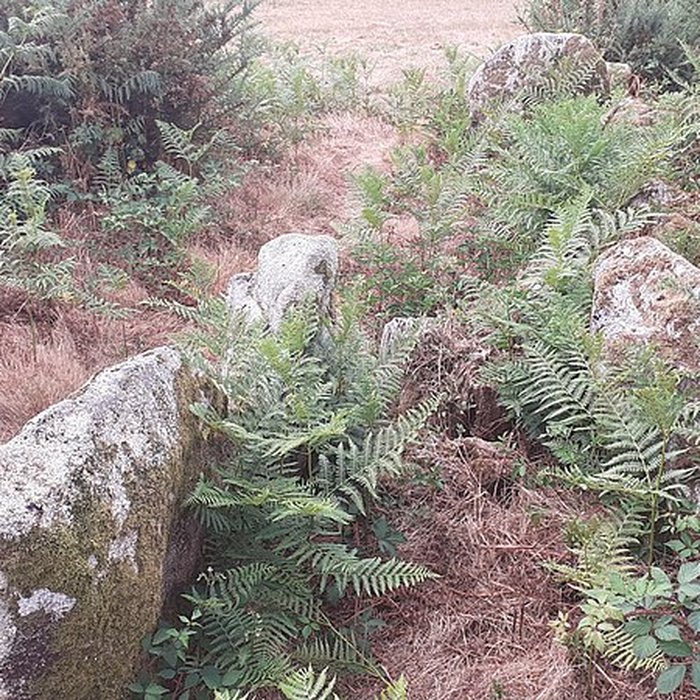 Photo de Allée couverte de Saint-Nizon à Malguénac