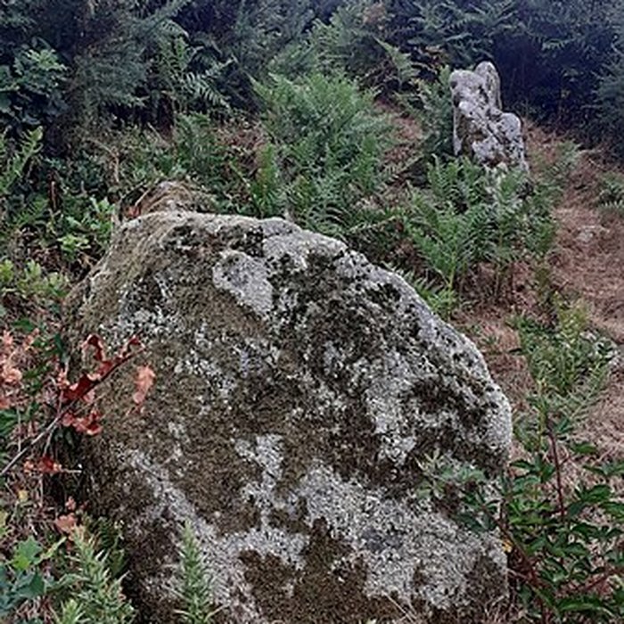 Photo de Allée couverte de Saint-Nizon à Malguénac