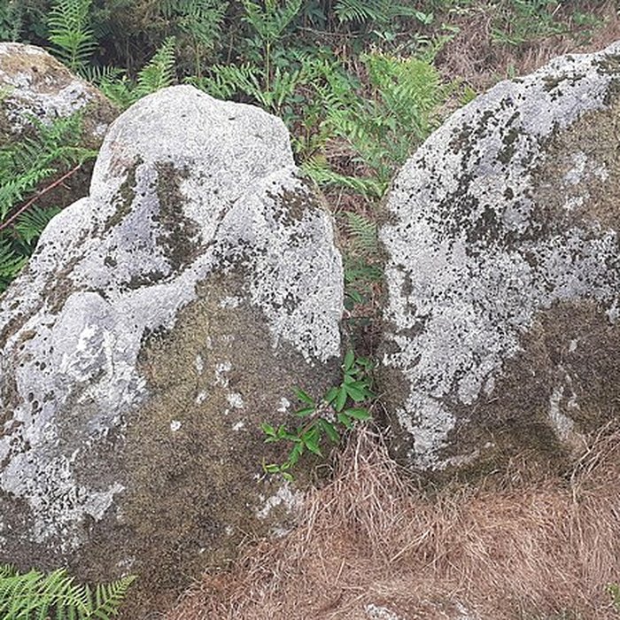 Photo de Allée couverte de Saint-Nizon à Malguénac
