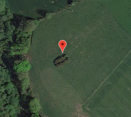 Allée couverte de Saint-Nizon à Malguénac 