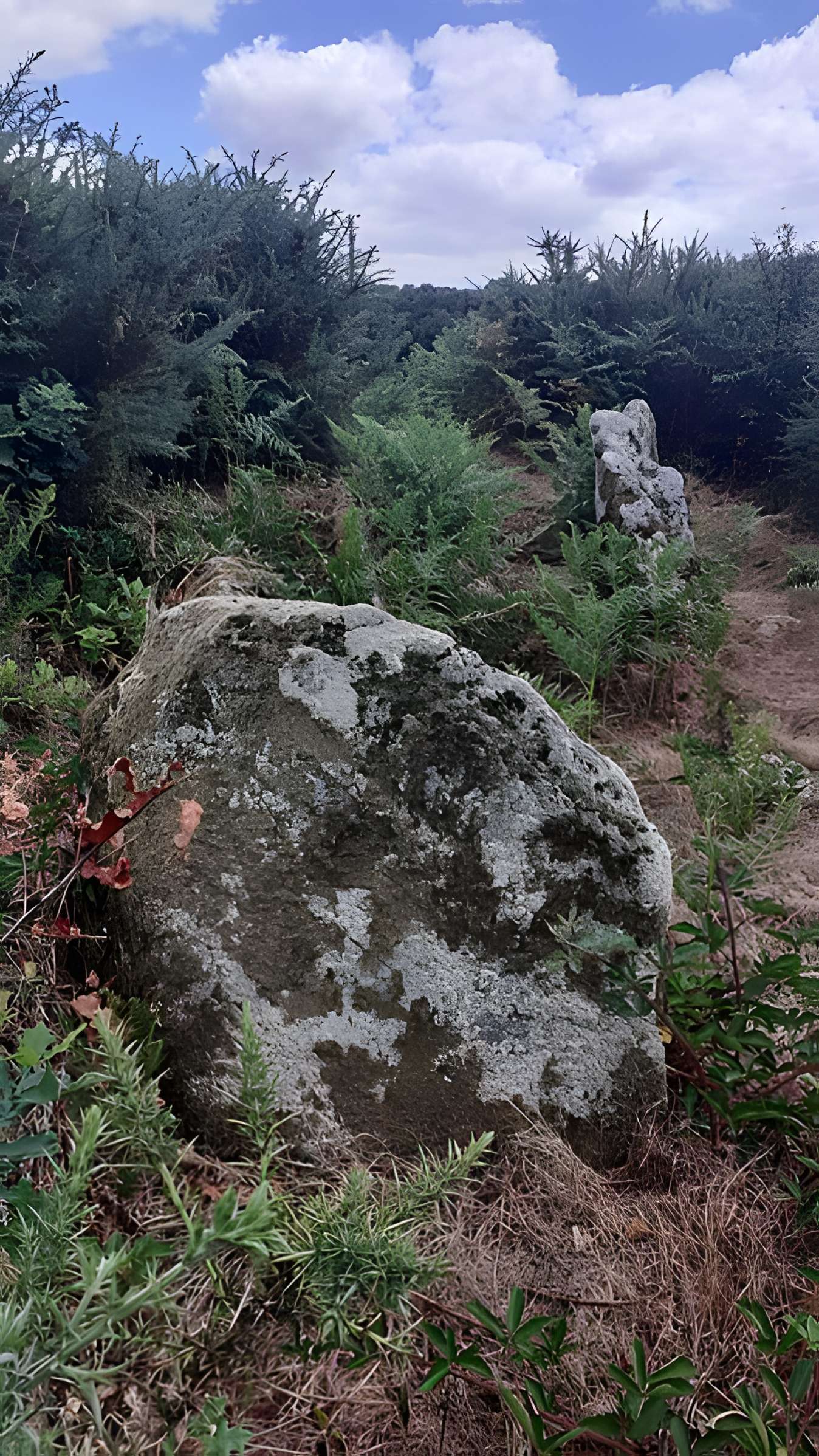 Allée couverte de Saint-Nizon à Malguénac
