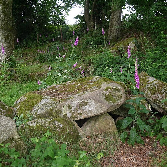 Photo de Allée couverte des Bonnes Dames à Saint-Thomas-de-Courceriers