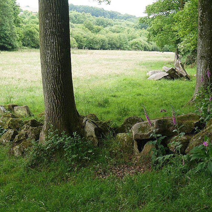 Photo de Allée couverte des Bonnes Dames à Saint-Thomas-de-Courceriers