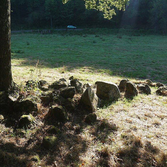 Photo de Allée couverte des Bonnes Dames à Saint-Thomas-de-Courceriers