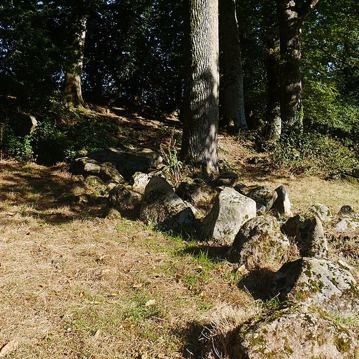 Photo de Allée couverte des Bonnes Dames à Saint-Thomas-de-Courceriers