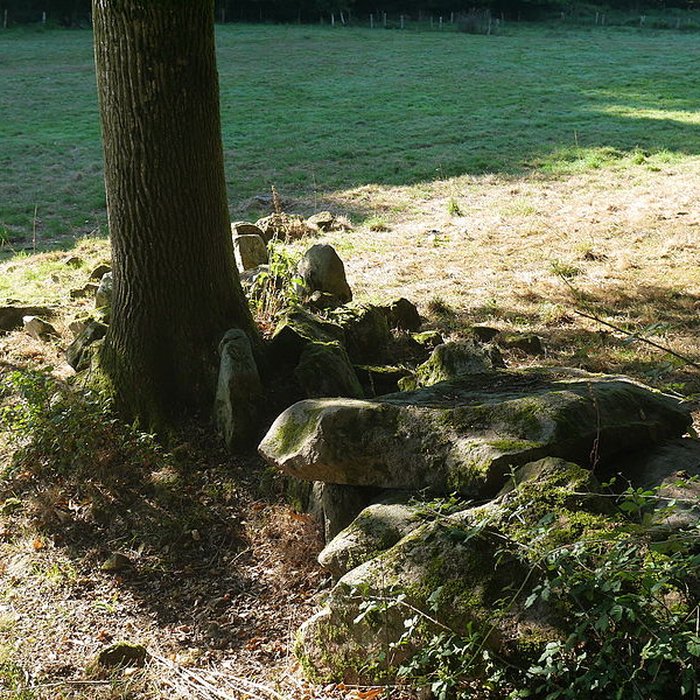 Photo de Allée couverte des Bonnes Dames à Saint-Thomas-de-Courceriers