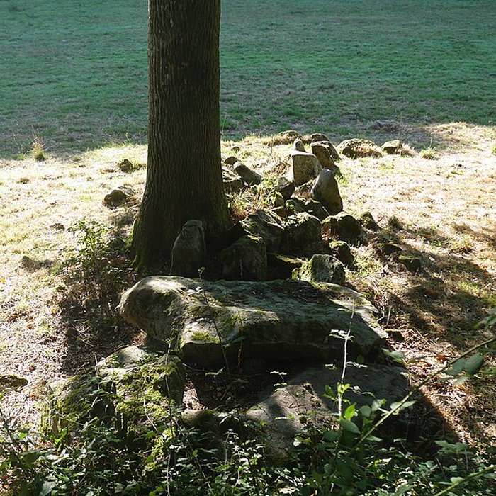 Photo de Allée couverte des Bonnes Dames à Saint-Thomas-de-Courceriers