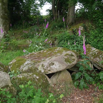 allee couverte des bonnes dames a saint thomas de courceriers