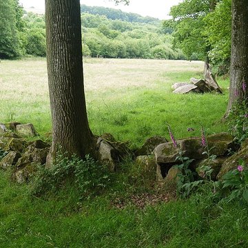 Allée couverte des Bonnes Dames à Saint-Thomas-de-Courceriers