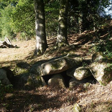 Allée couverte des Bonnes Dames à Saint-Thomas-de-Courceriers
