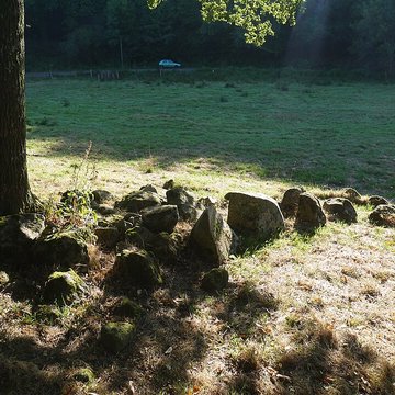 Allée couverte des Bonnes Dames à Saint-Thomas-de-Courceriers