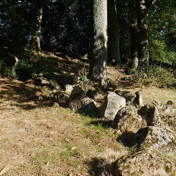 Allée couverte des Bonnes Dames à Saint-Thomas-de-Courceriers