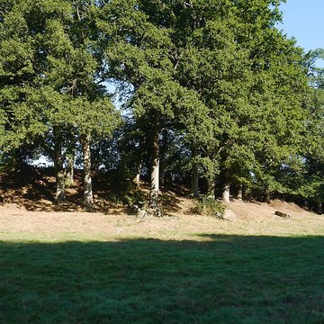 Allée couverte des Bonnes Dames à Saint-Thomas-de-Courceriers