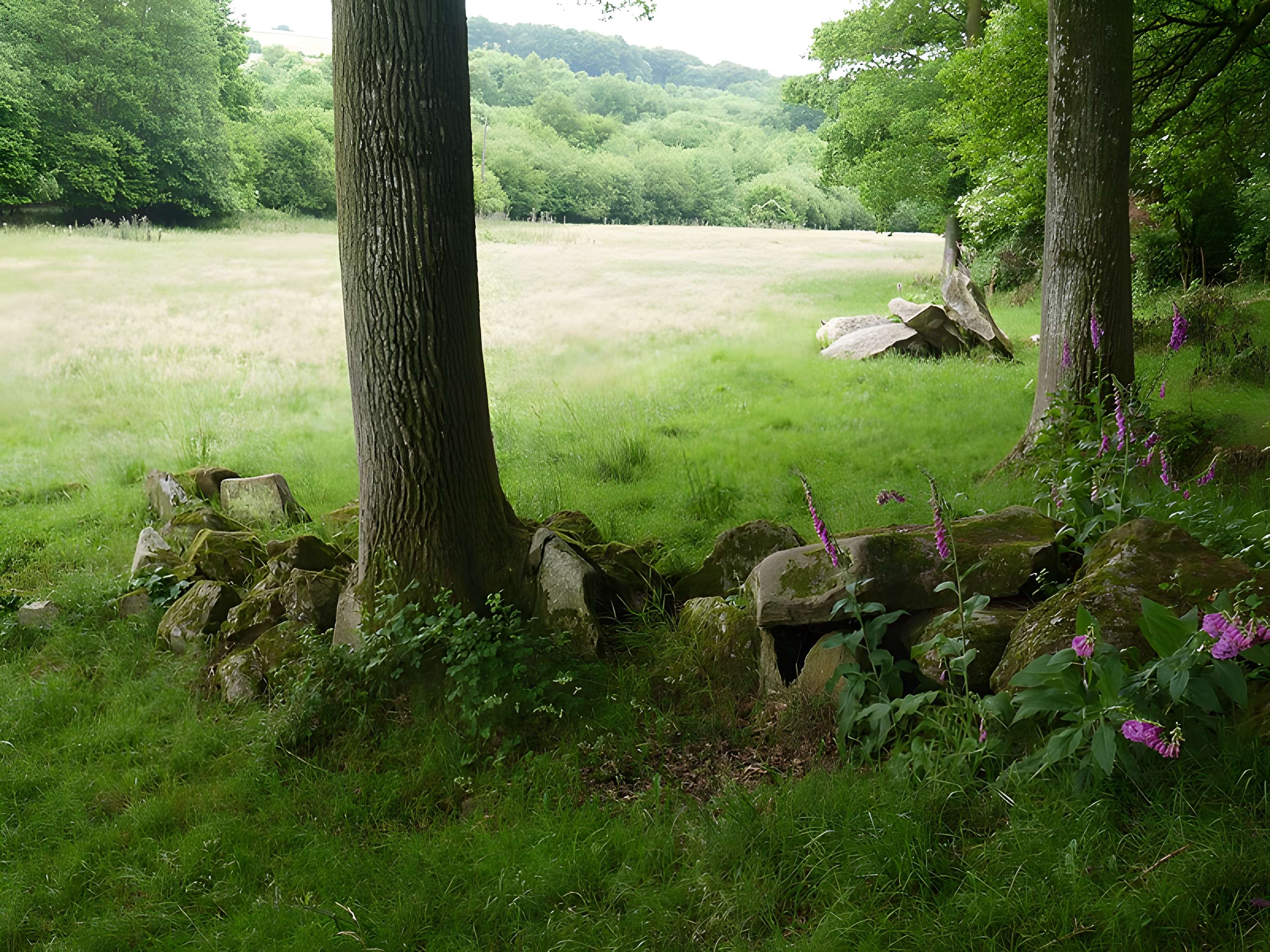 Allée couverte des Bonnes Dames à Saint-Thomas-de-Courceriers
