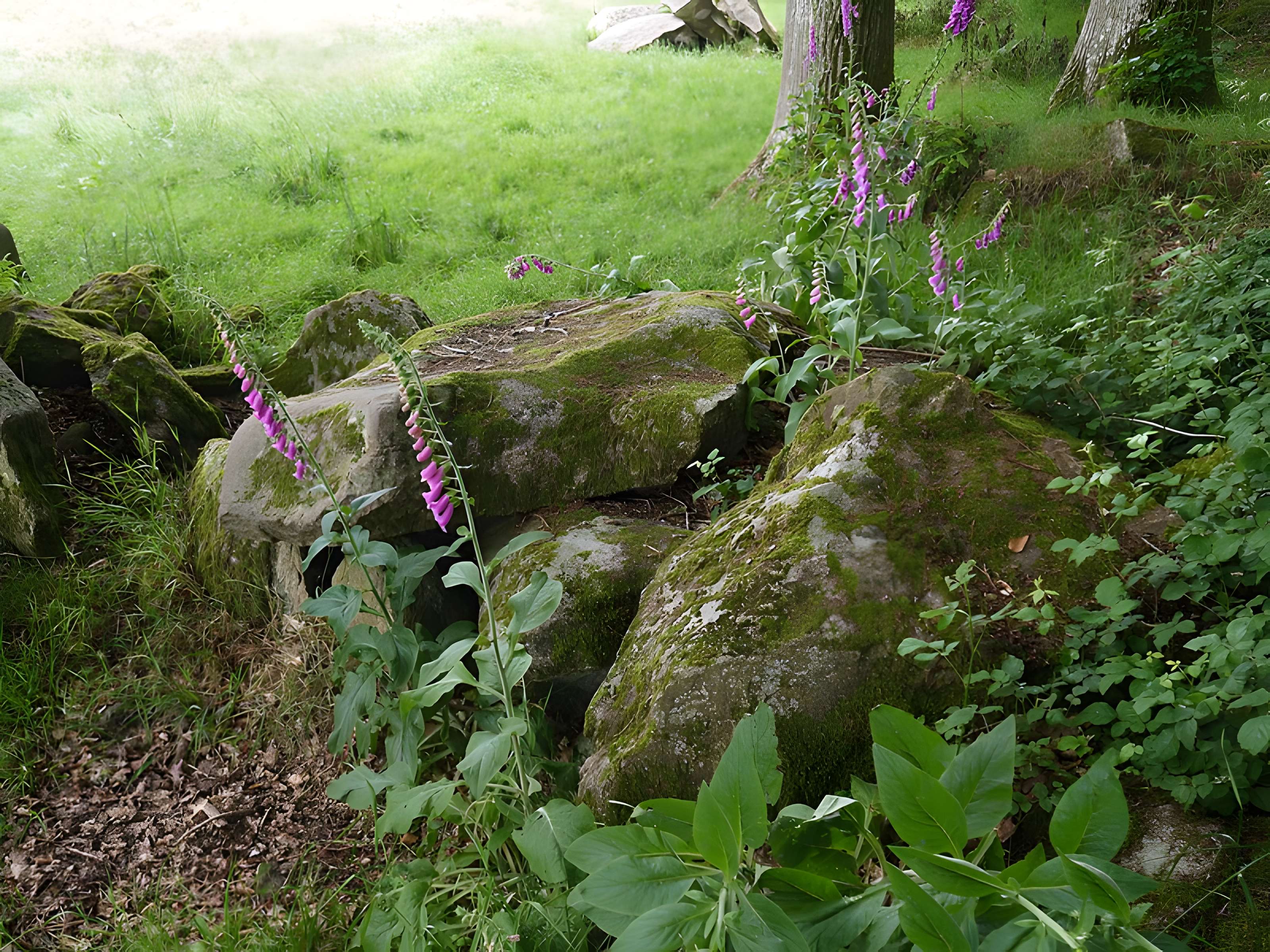 Allée couverte des Bonnes Dames à Saint-Thomas-de-Courceriers