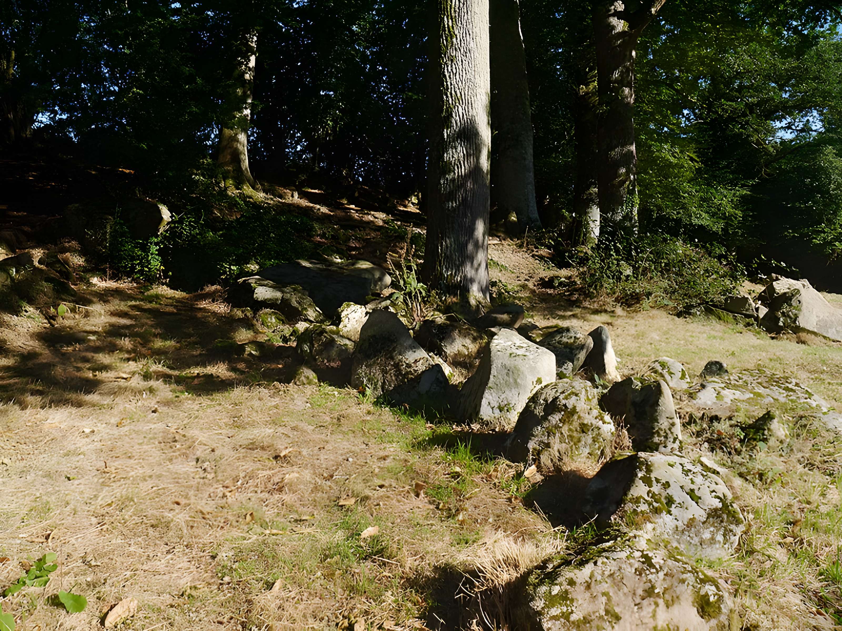 Allée couverte des Bonnes Dames à Saint-Thomas-de-Courceriers