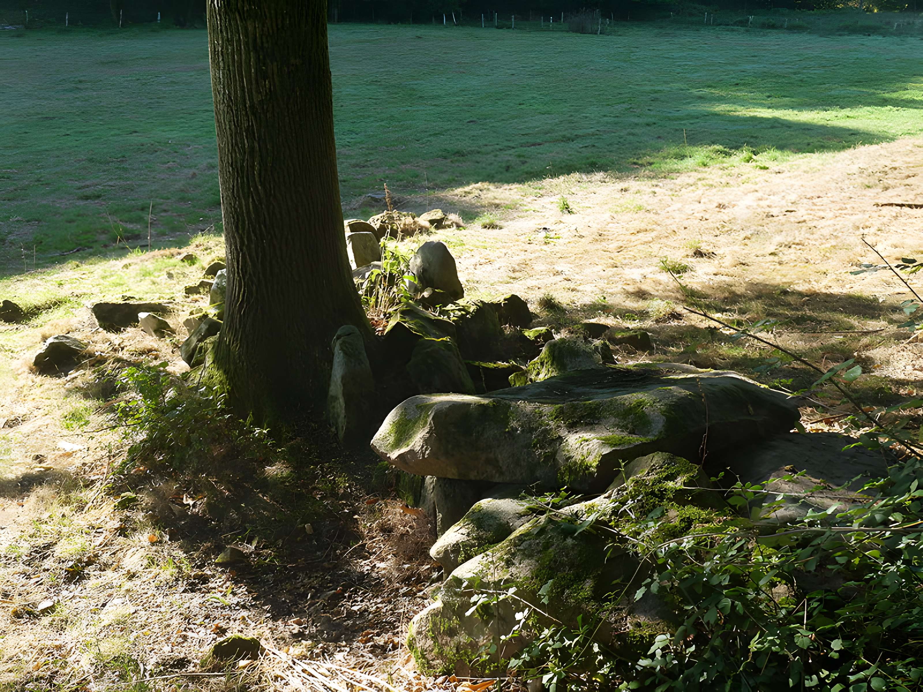 Allée couverte des Bonnes Dames à Saint-Thomas-de-Courceriers