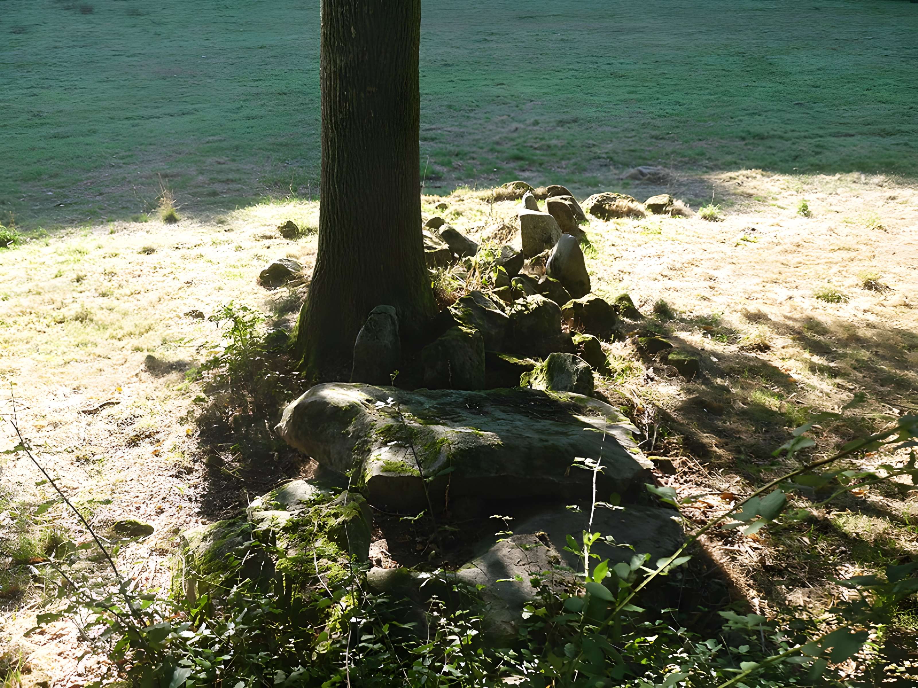 Allée couverte des Bonnes Dames à Saint-Thomas-de-Courceriers
