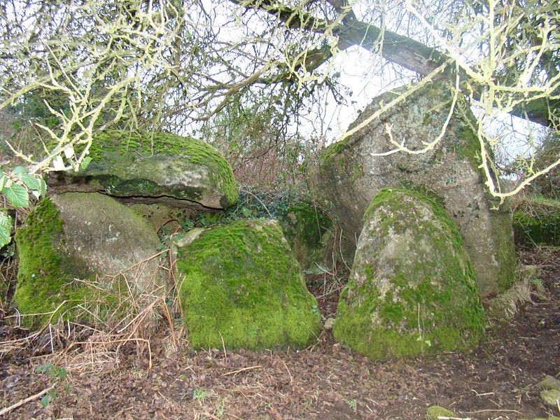 Photo de Allée couverte du Parc-Kerdic à Saint-Connan