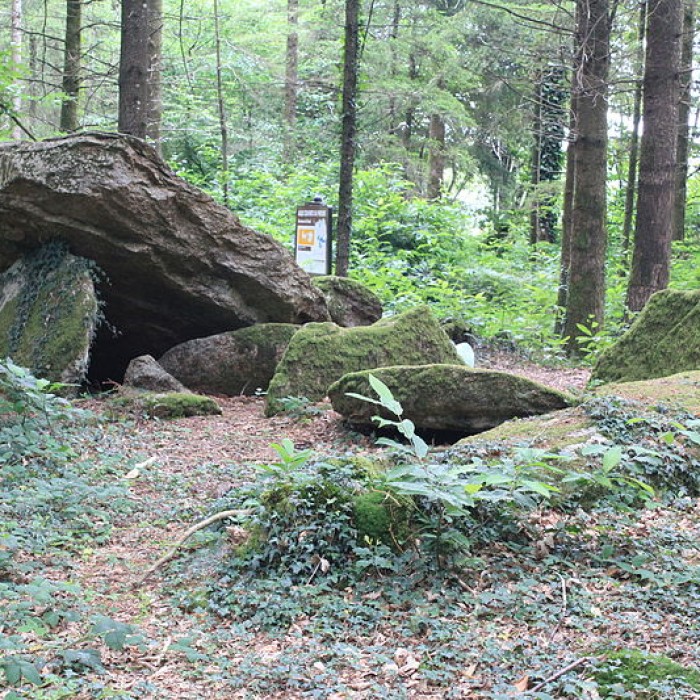 Photo de Allée couverte du Prieuré à Baud