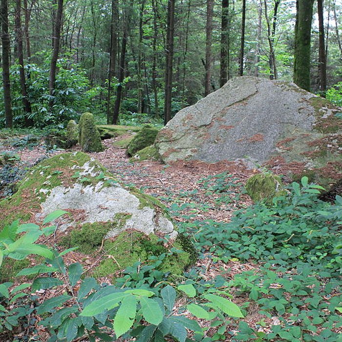 Photo de Allée couverte du Prieuré à Baud