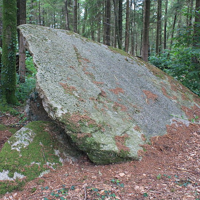 Photo de Allée couverte du Prieuré à Baud