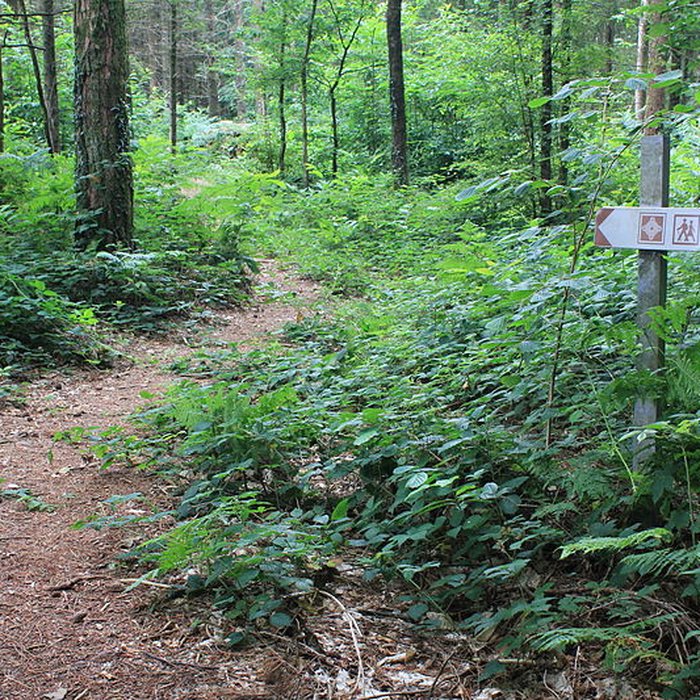Photo de Allée couverte du Prieuré à Baud