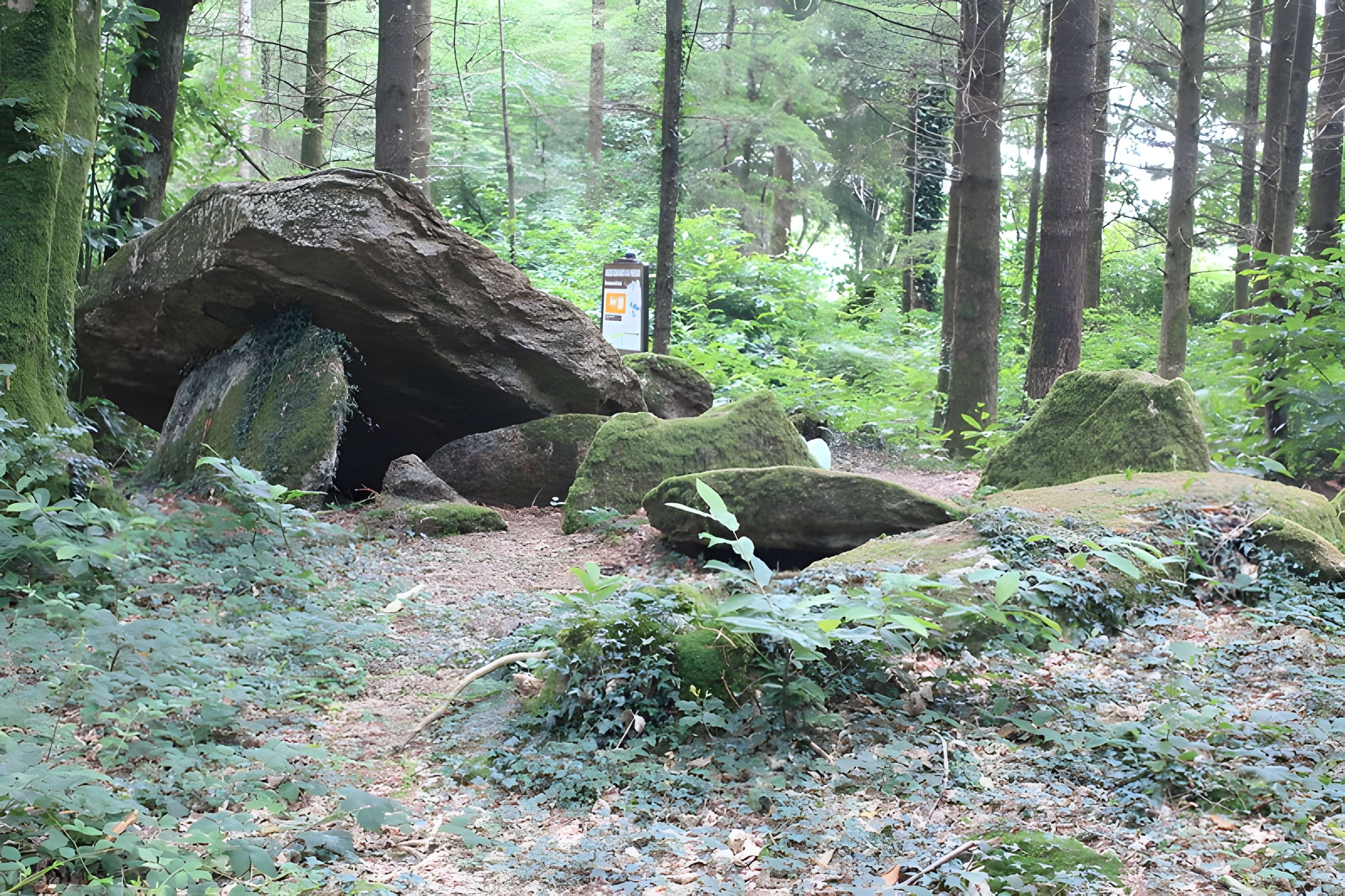 Allée couverte du Prieuré à Baud 