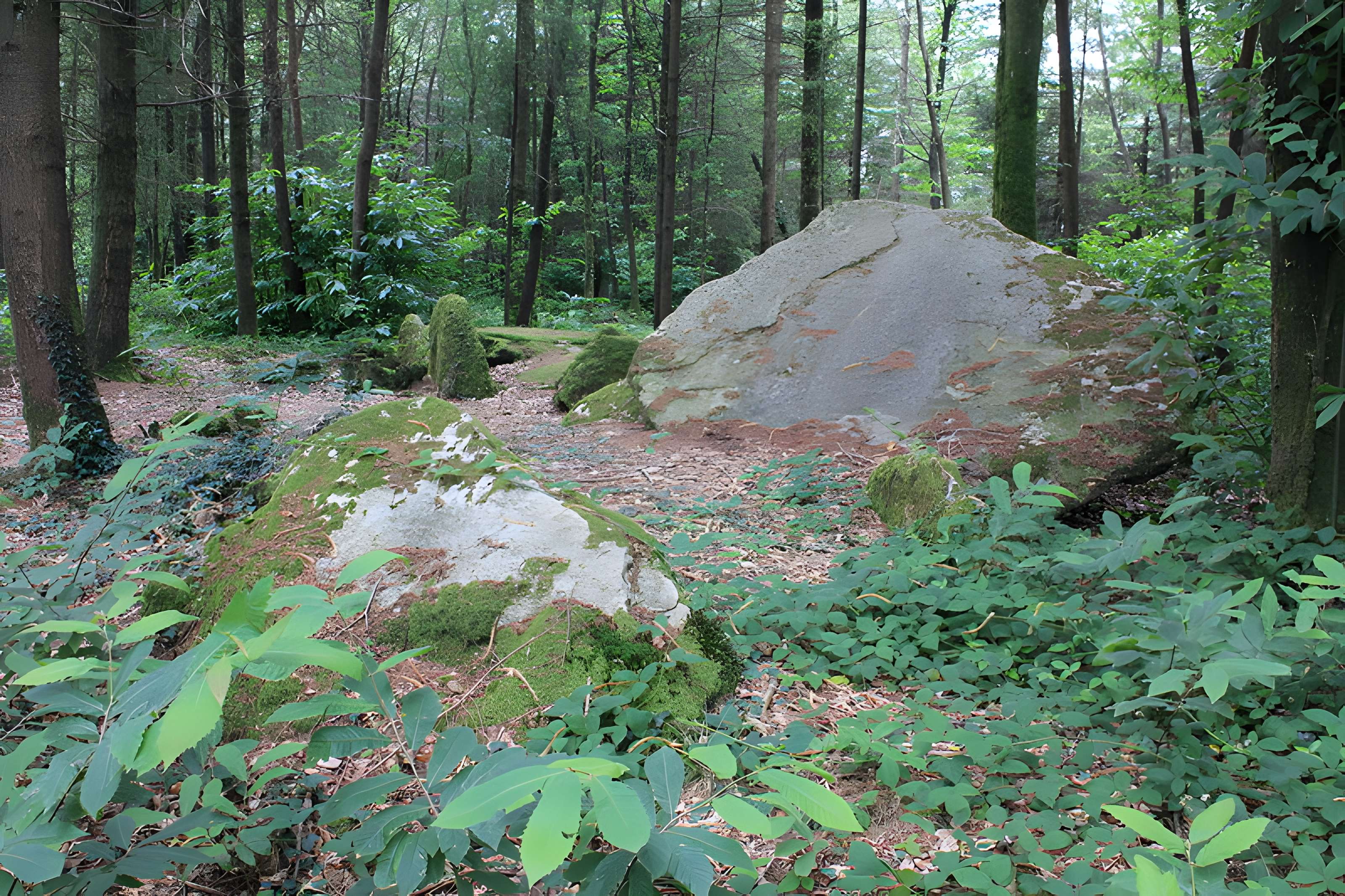 Allée couverte du Prieuré à Baud