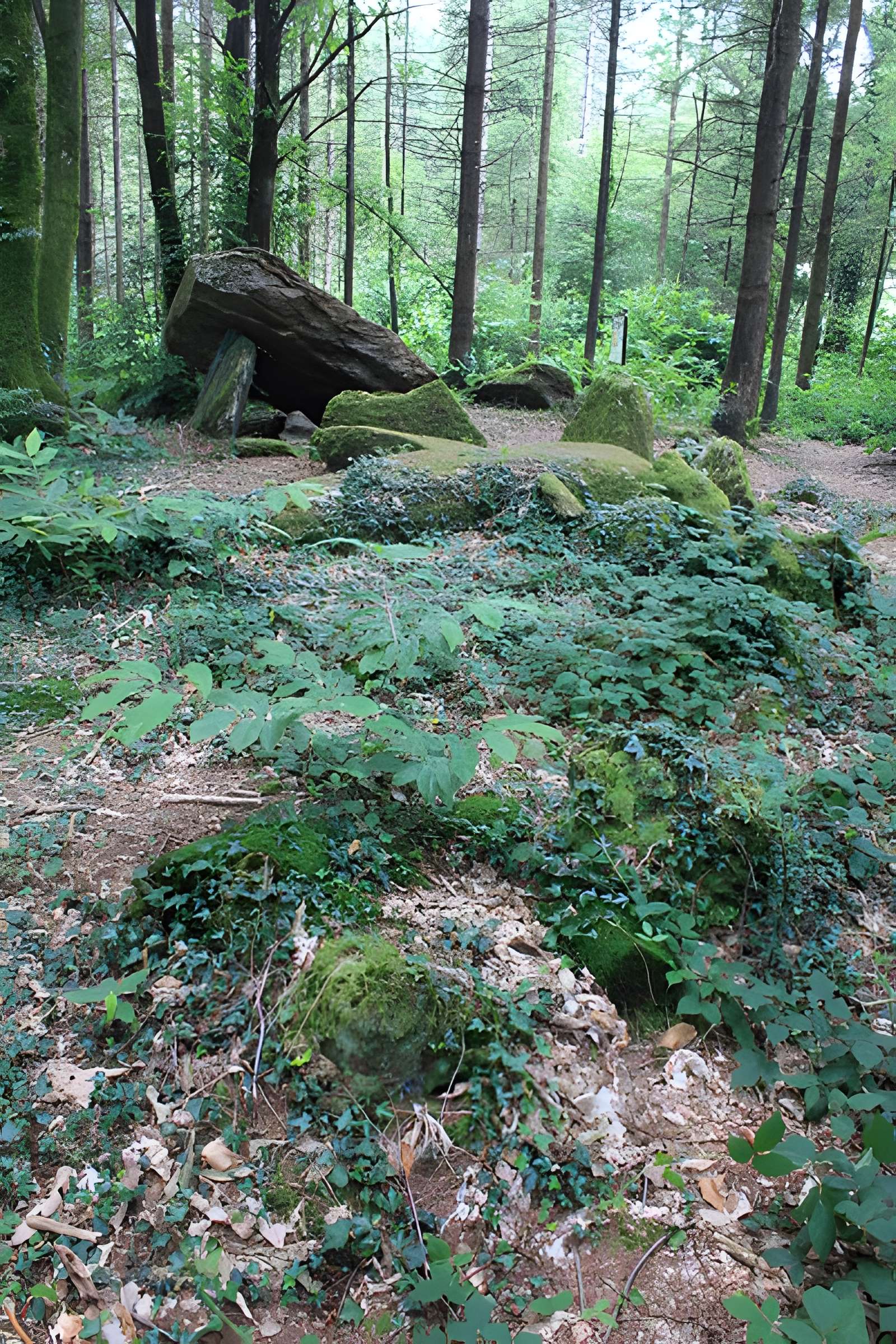 Allée couverte du Prieuré à Baud