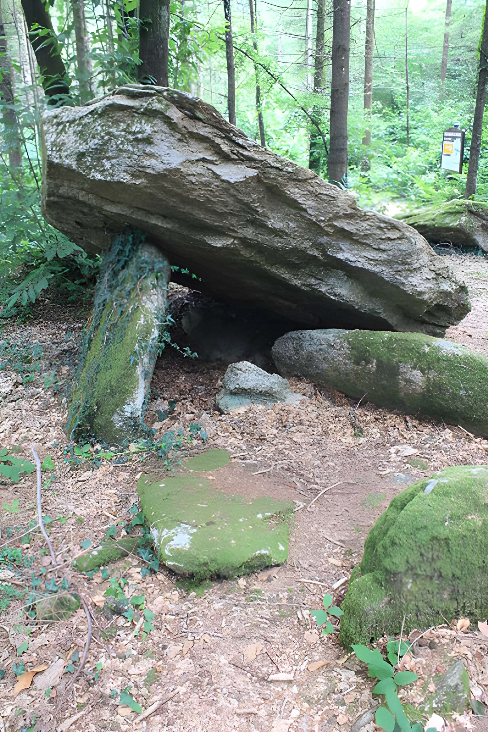Allée couverte du Prieuré à Baud