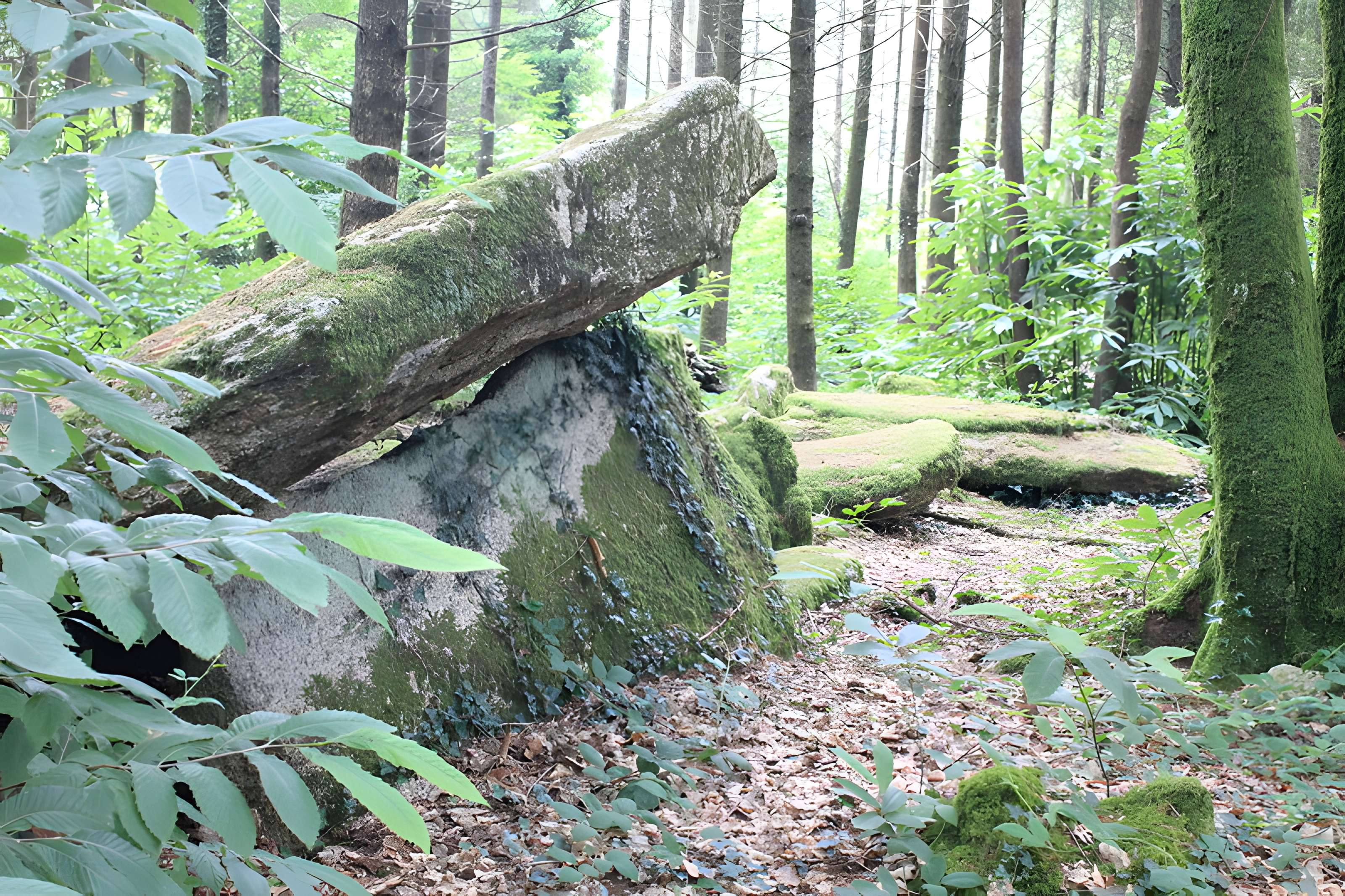 Allée couverte du Prieuré à Baud