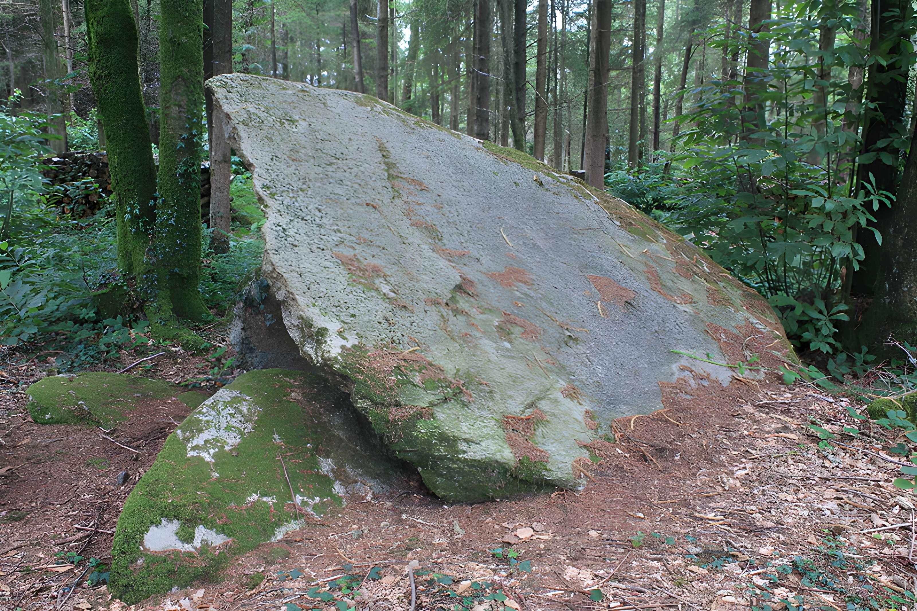 Allée couverte du Prieuré à Baud