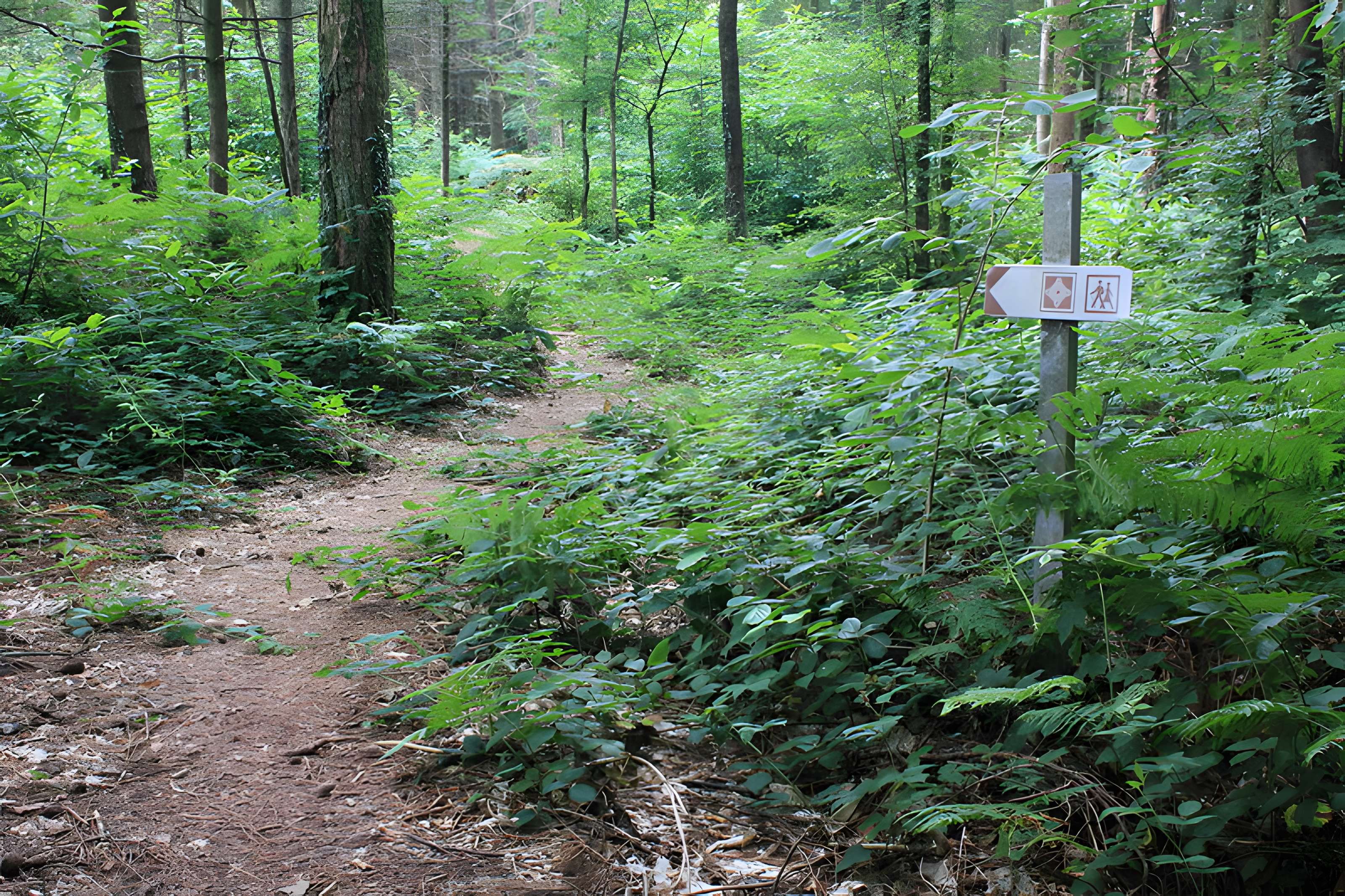 Allée couverte du Prieuré à Baud