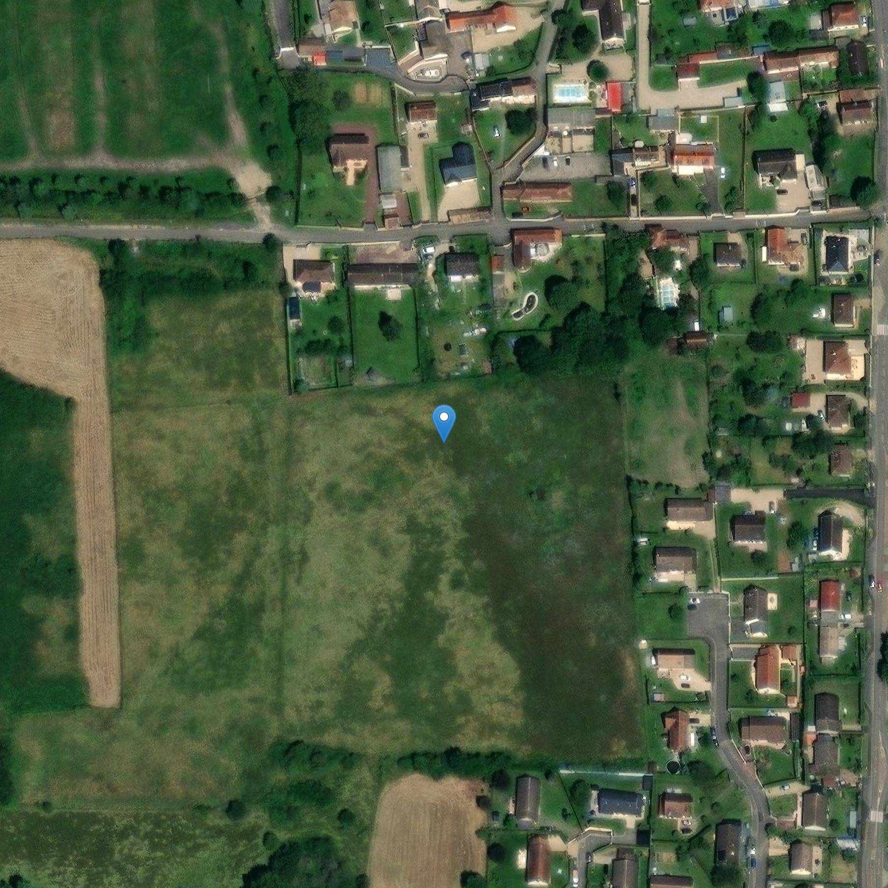 Photo de Pinterville Sepulchral viabilit�