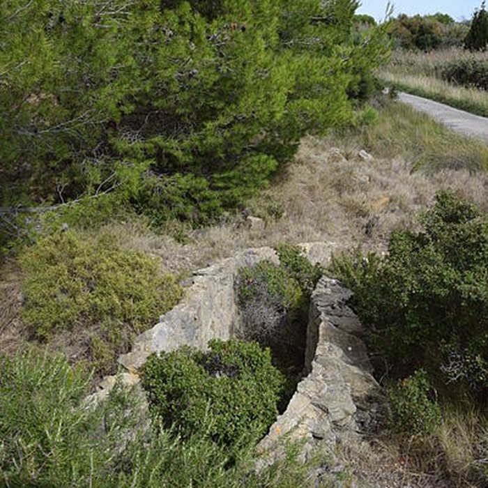 Photo de Amphithéâtre gallo-romain de Narbonne