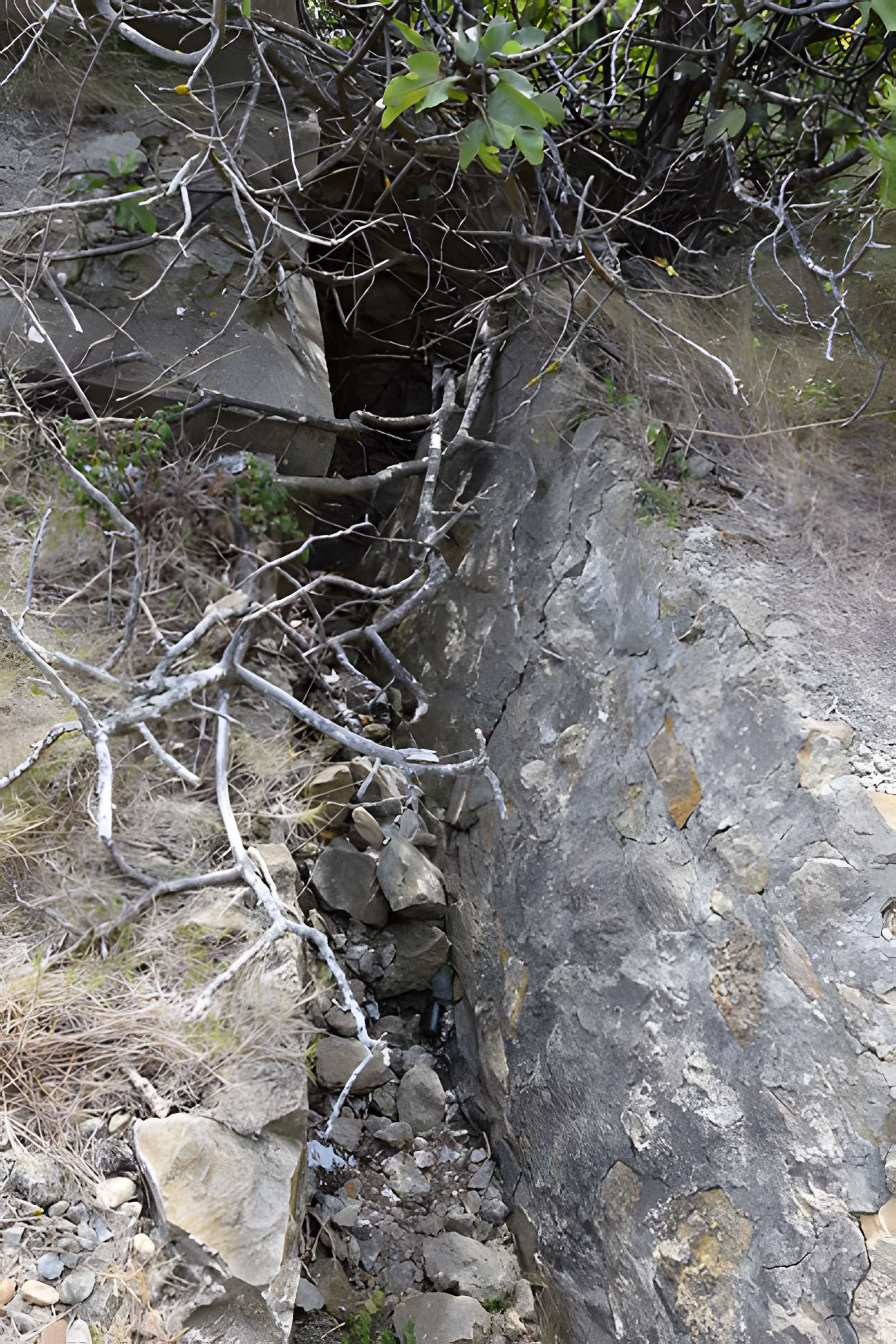 Amphithéâtre gallo-romain de Narbonne