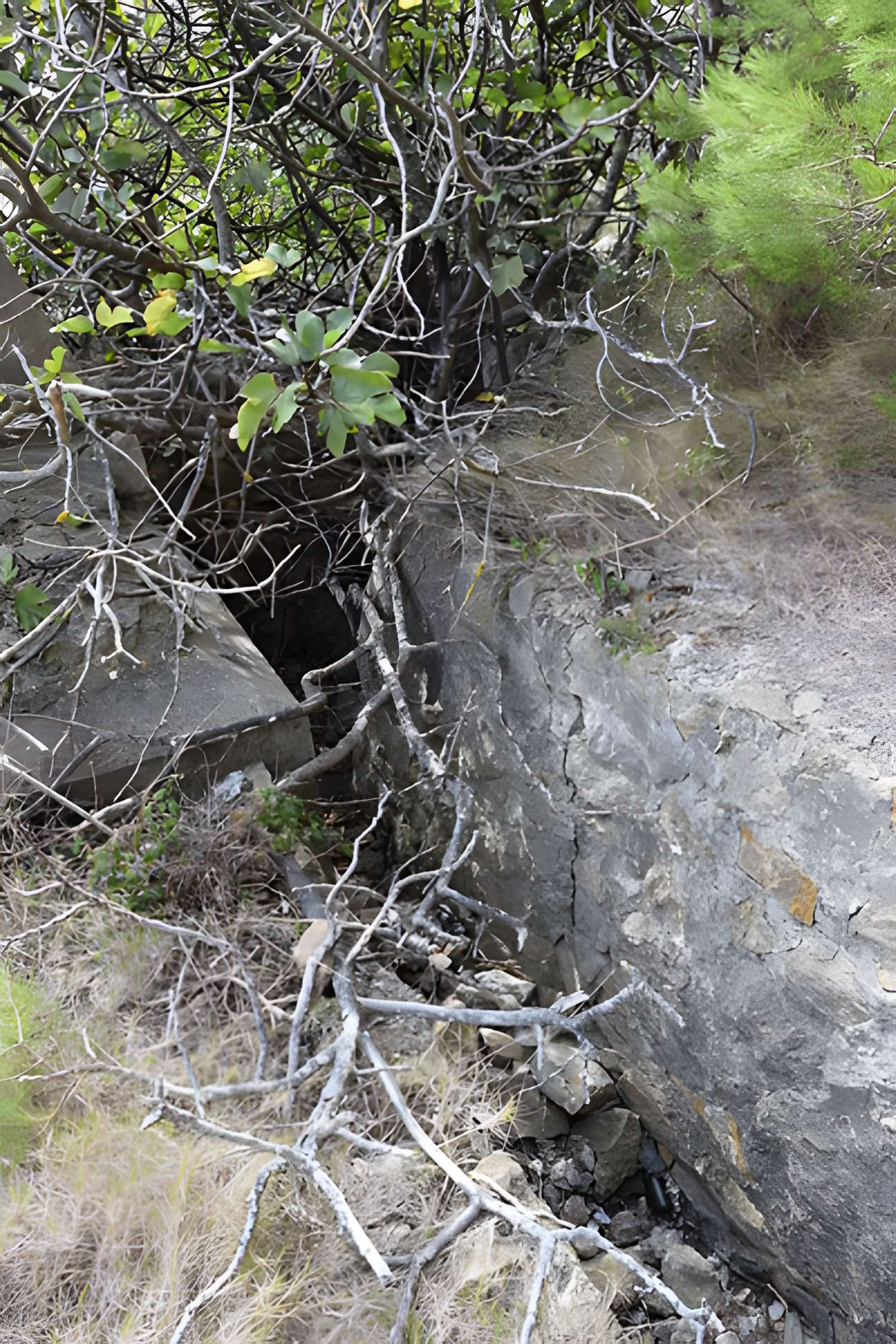 Amphithéâtre gallo-romain de Narbonne