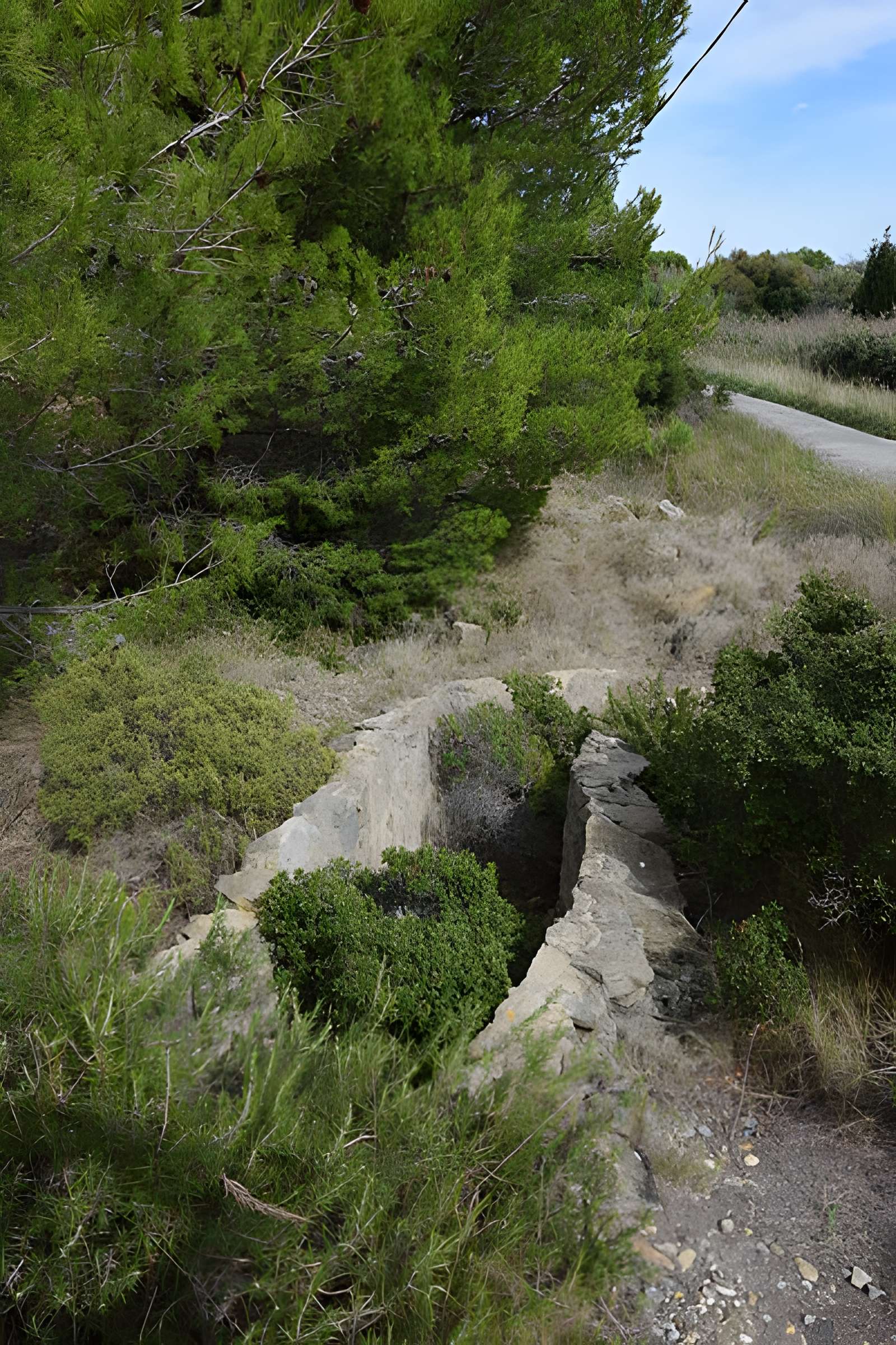Amphithéâtre gallo-romain de Narbonne