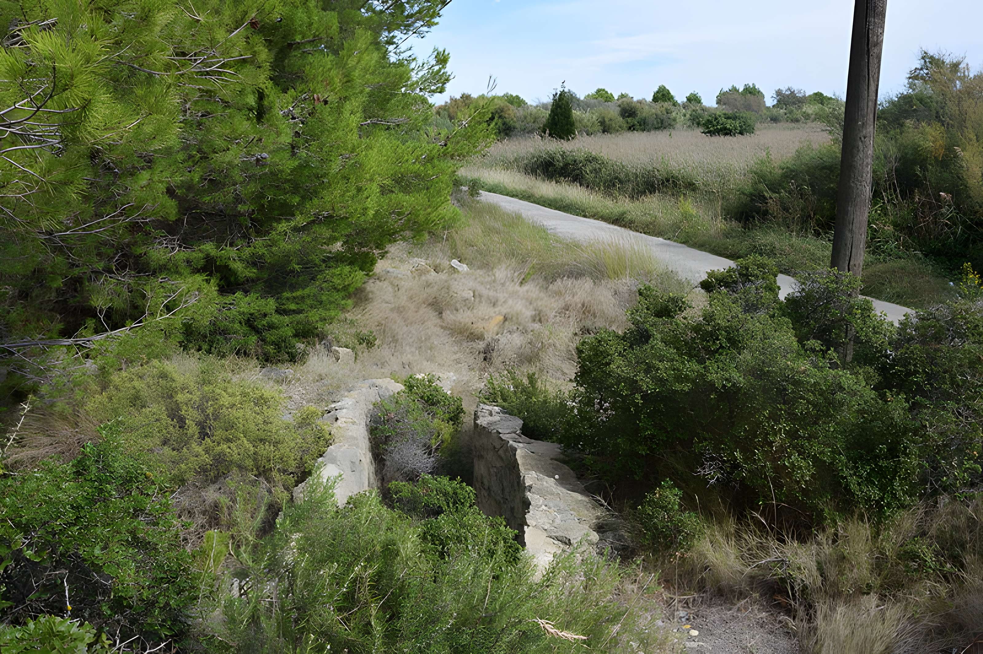 Amphithéâtre gallo-romain de Narbonne