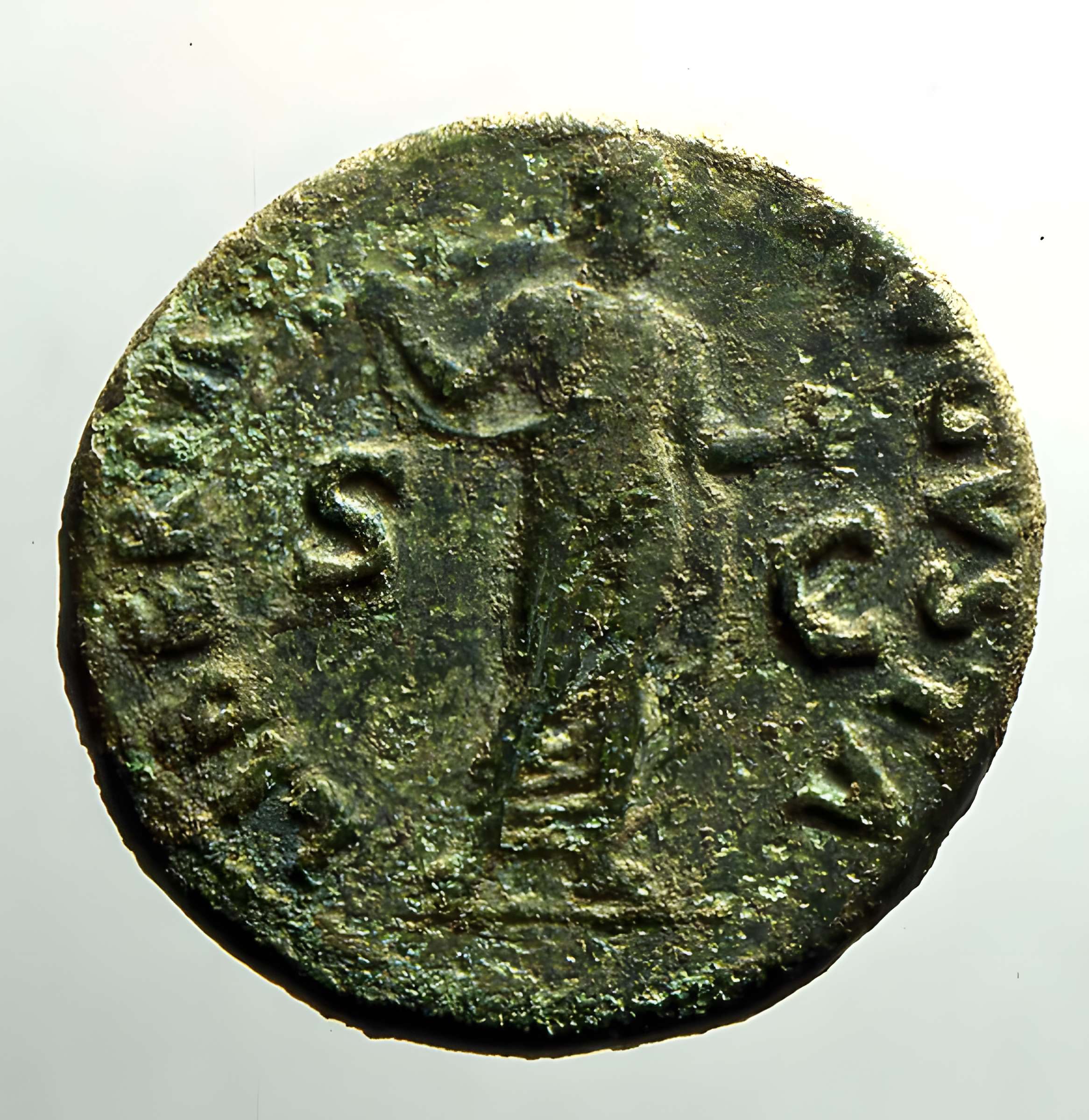 Amphithéâtre romain de Purpan-Ancely à Toulouse 