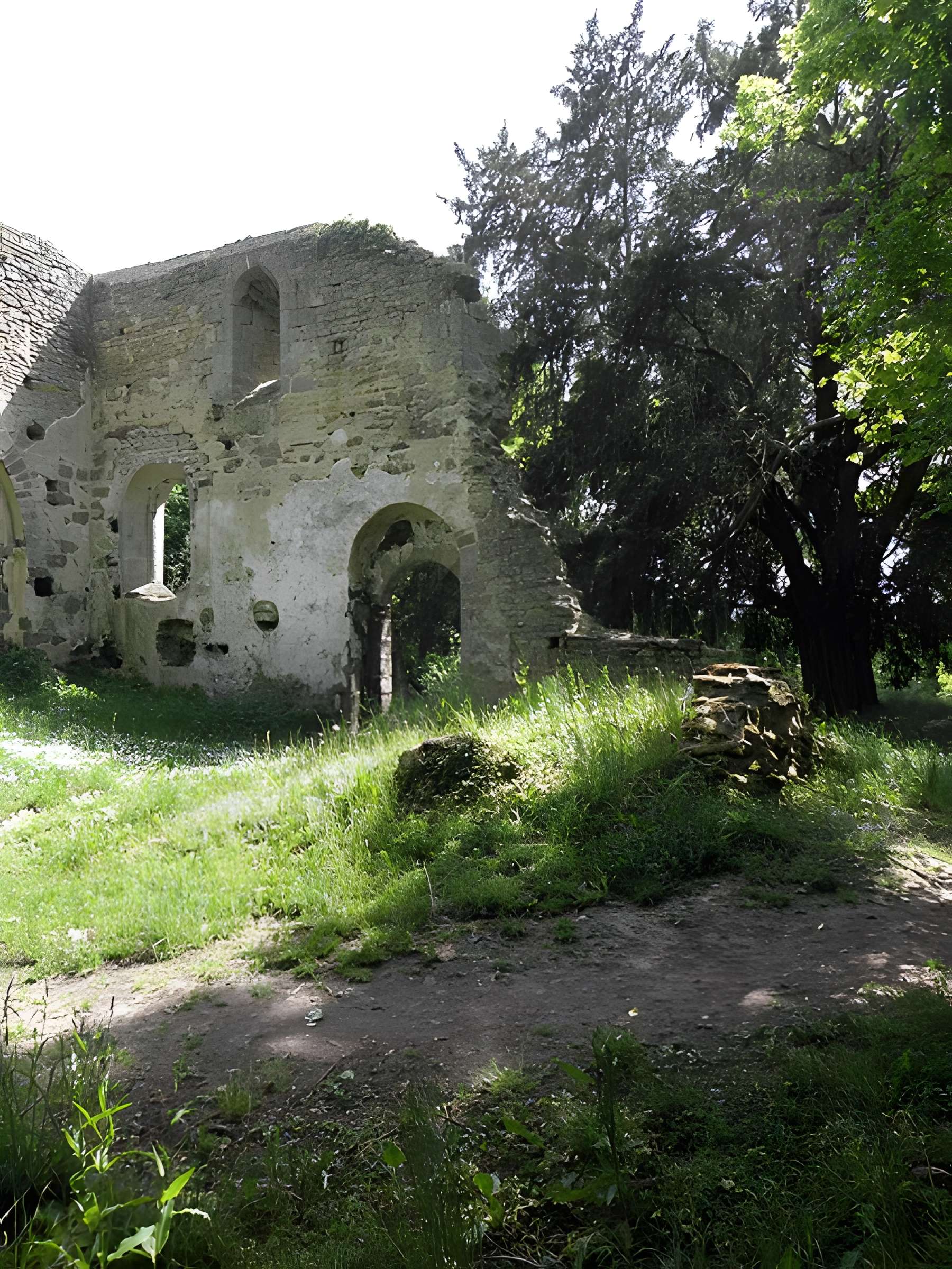 Ancienne église de Saint-André-des-Eaux