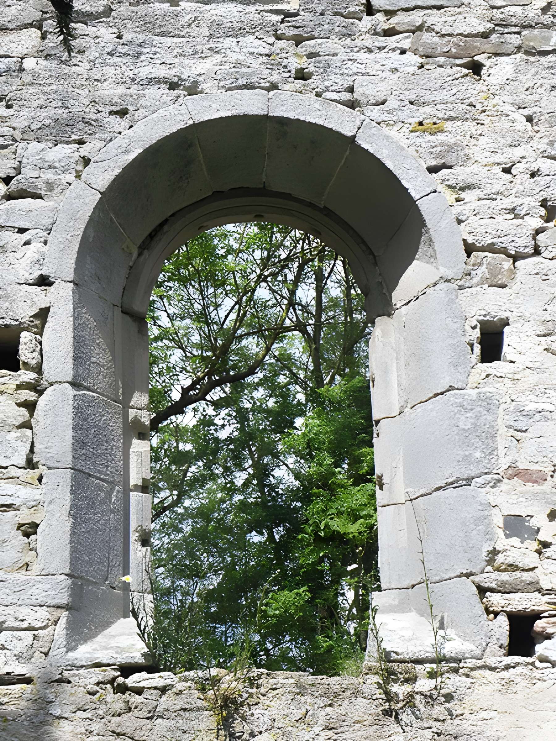 Ancienne église de Saint-André-des-Eaux